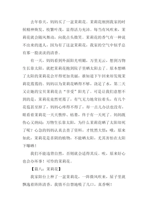 关于茉莉花的作文.docx