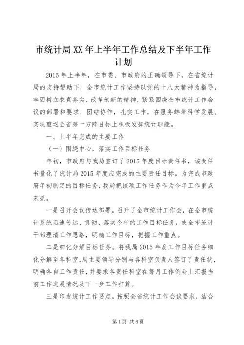 市统计局XX年上半年工作总结及下半年工作计划.docx