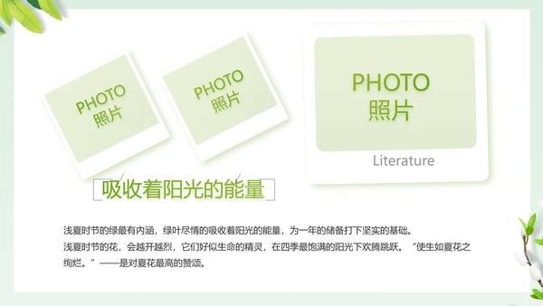 致青春毕业季大学毕业纪念册相册PPT