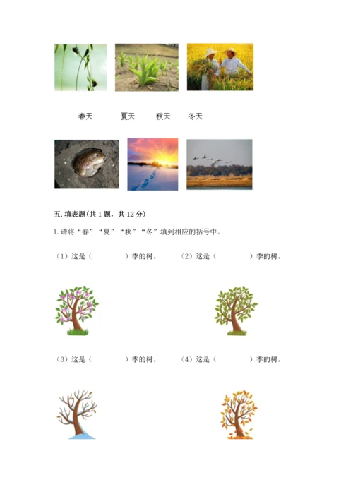 教科版二年级上册科学期末测试卷（精品）word版.docx
