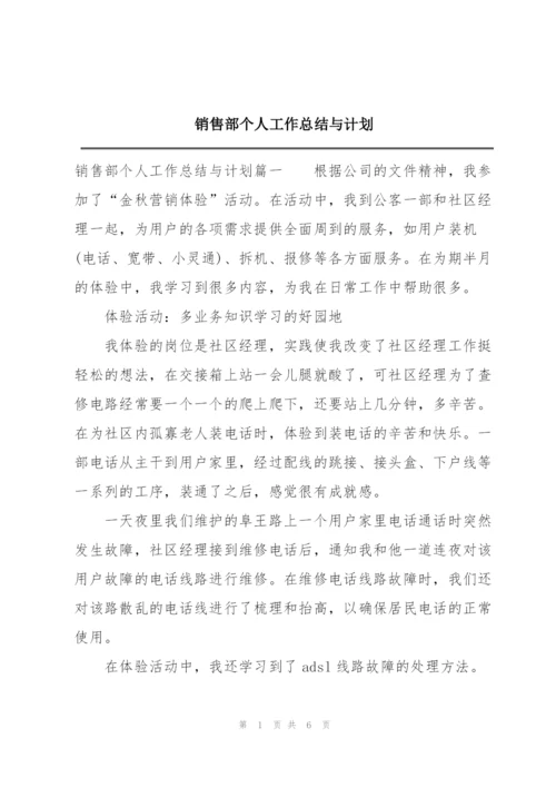 销售部个人工作总结与计划.docx