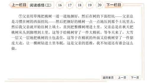 统编版八上语文第二次月考综合检测卷 习题课件（41张PPT）