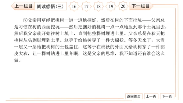 统编版八上语文第二次月考综合检测卷 习题课件（41张PPT）