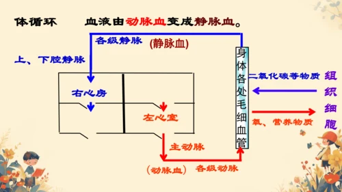 初中生物学人教版（新课程标准）七年级下册4.4.3输送血液的泵──心脏课件(共27张PPT)