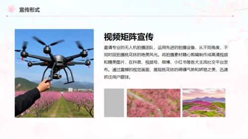 小镇桃花节策划方案通用PPT