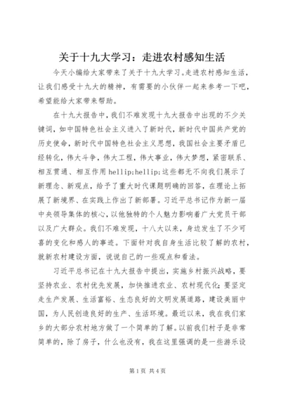 关于十九大学习：走进农村感知生活.docx