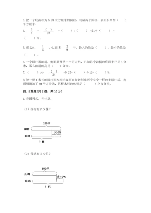 北京版六年级下册数学期中测试卷（典优）.docx