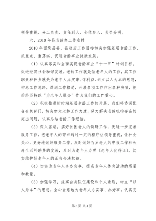 老龄办总结与工作计划.docx