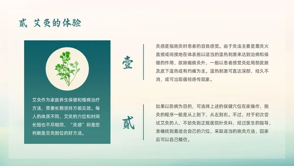 绿色简约国潮风艾灸养生PPT模板