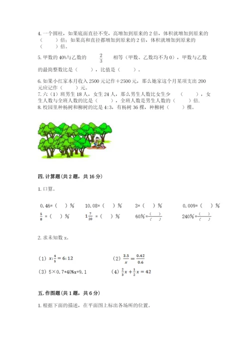 小升初六年级期末试卷（全优）word版.docx