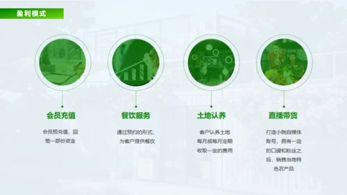 新城市农家小院策划案通用PPT
