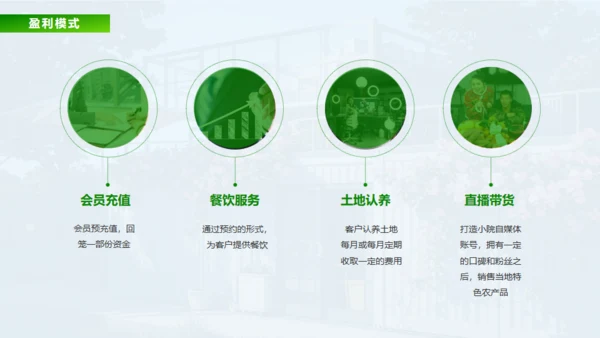 新城市农家小院策划案通用PPT