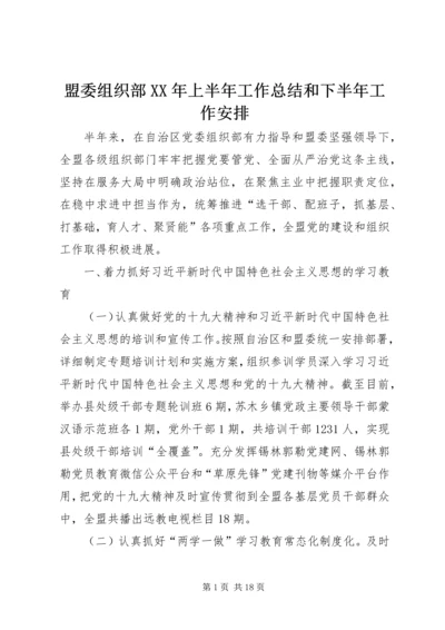 盟委组织部XX年上半年工作总结和下半年工作安排 (2).docx