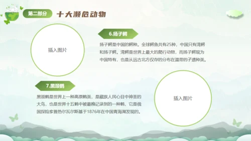 保护濒危动物，拯救美好生命通用PPT模板