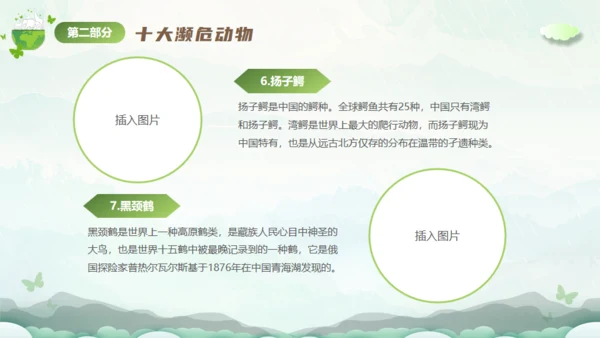 保护濒危动物，拯救美好生命通用PPT模板