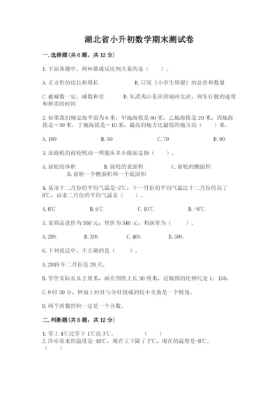 湖北省小升初数学期末测试卷及参考答案一套.docx