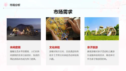 小镇桃花节策划方案通用PPT