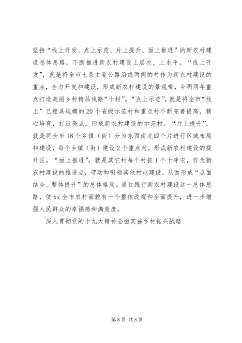 深入贯彻党的十九大精神全面实施乡村振兴战略.docx