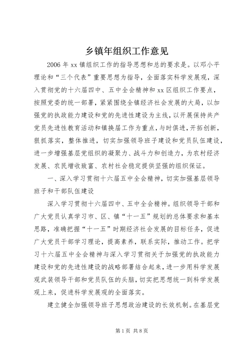 乡镇年组织工作意见.docx