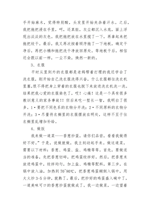 2023社会实践报告范文.docx