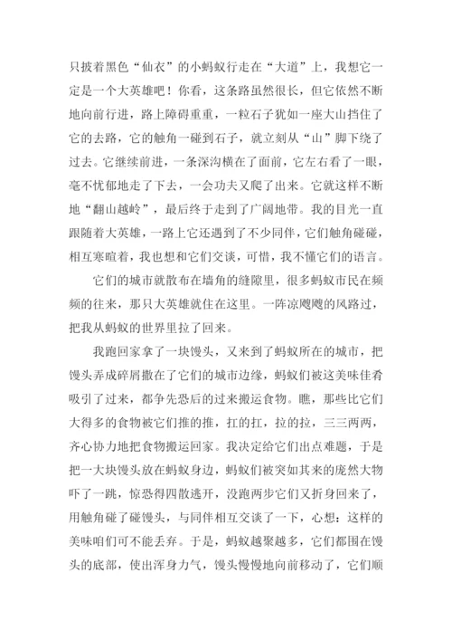 蚂蚁的力量作文.docx