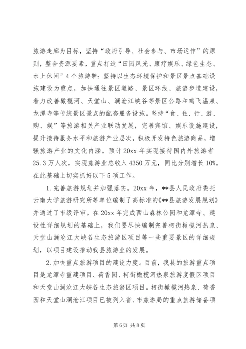 旅游工作总结暨工作计划_1.docx