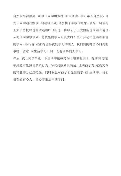 《剪枝的学问》教学反思.docx