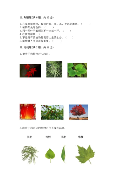 教科版科学一年级上册第一单元《植物》测试卷附参考答案【实用】.docx