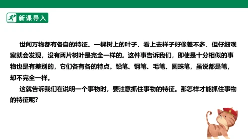 八年级语文上册第五单元 写作 说明事物要抓住特征 课件(共29张PPT)