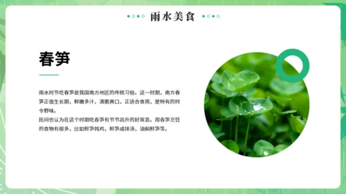 雨水节气燕子元素通用PPT绿色模板