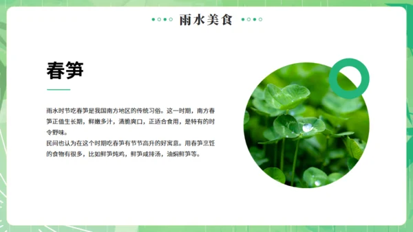 雨水节气燕子元素通用PPT绿色模板