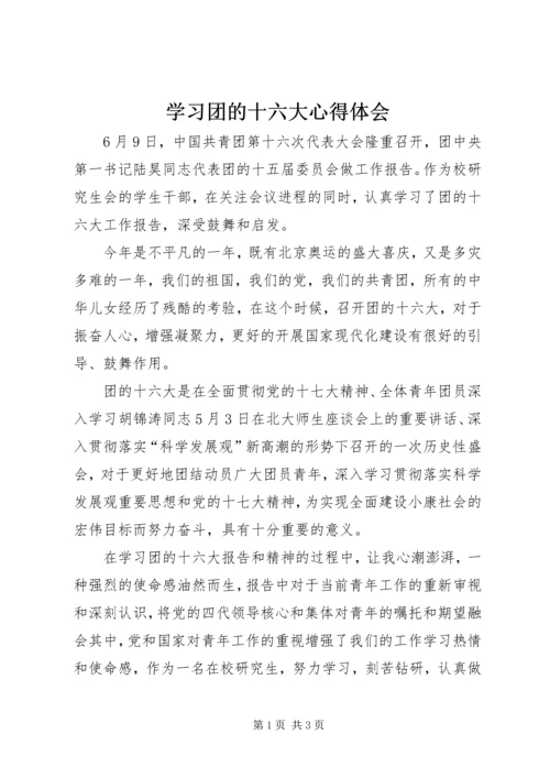 学习团的十六大心得体会 (2).docx