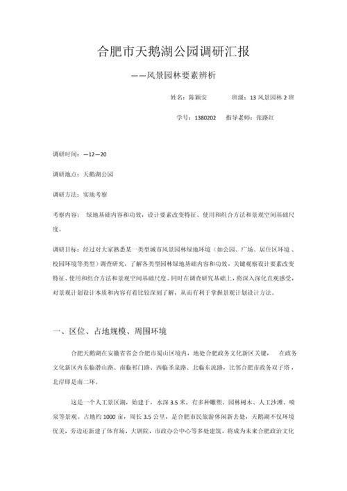 合肥市天鹅湖公园调研研究报告.docx