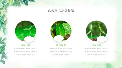 植物生长绿芽小树苗生长发芽成长ppt模板