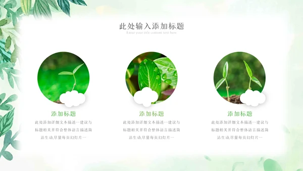 植物生长绿芽小树苗生长发芽成长ppt模板