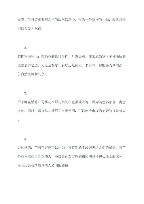 芍药花束的功效与作用