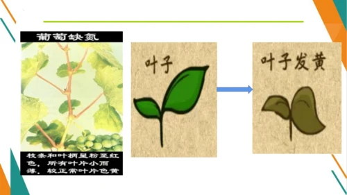 11.2 化学肥料-【教学新思维】2023-2024学年九年级化学下册同步讲透教材优选课件（人教版）