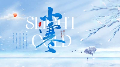 小寒冬季大雪白茫茫雪景通用PPT模板