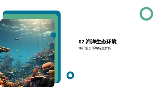 探秘海洋生物