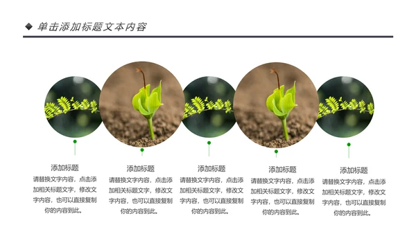 绿色唯美植物生长敬畏生命发芽PPT模板