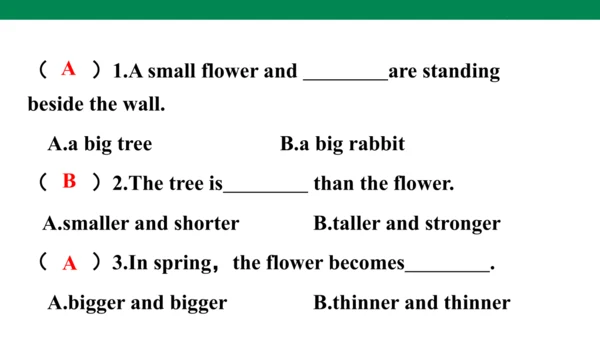 Unit 1　How tall are you？专项练习课件(共64张PPT)