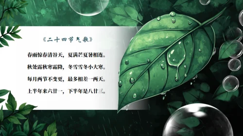 雨水节气通用PPT模板