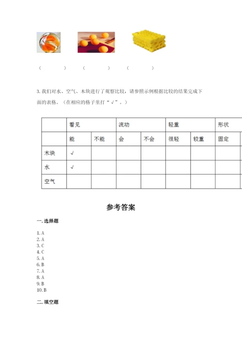 教科版一年级下册科学期末测试卷含完整答案【全国通用】.docx