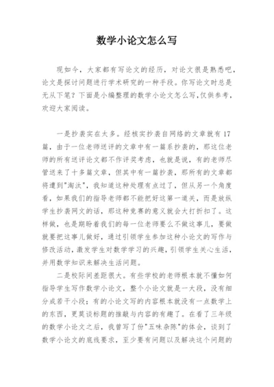 数学小论文怎么写精编.docx