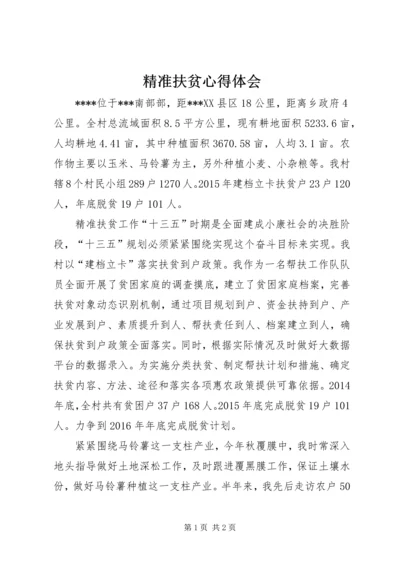 精准扶贫心得体会 (2).docx