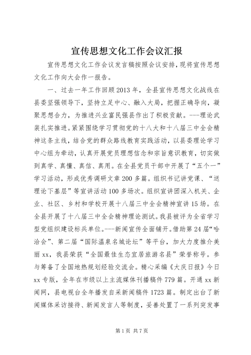 宣传思想文化工作会议汇报 (4).docx