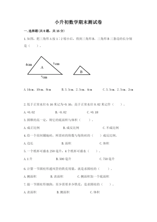 小升初数学期末测试卷（达标题）.docx