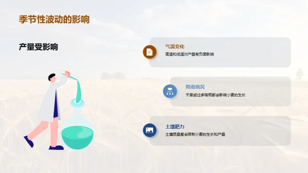 小麦丰收新策略