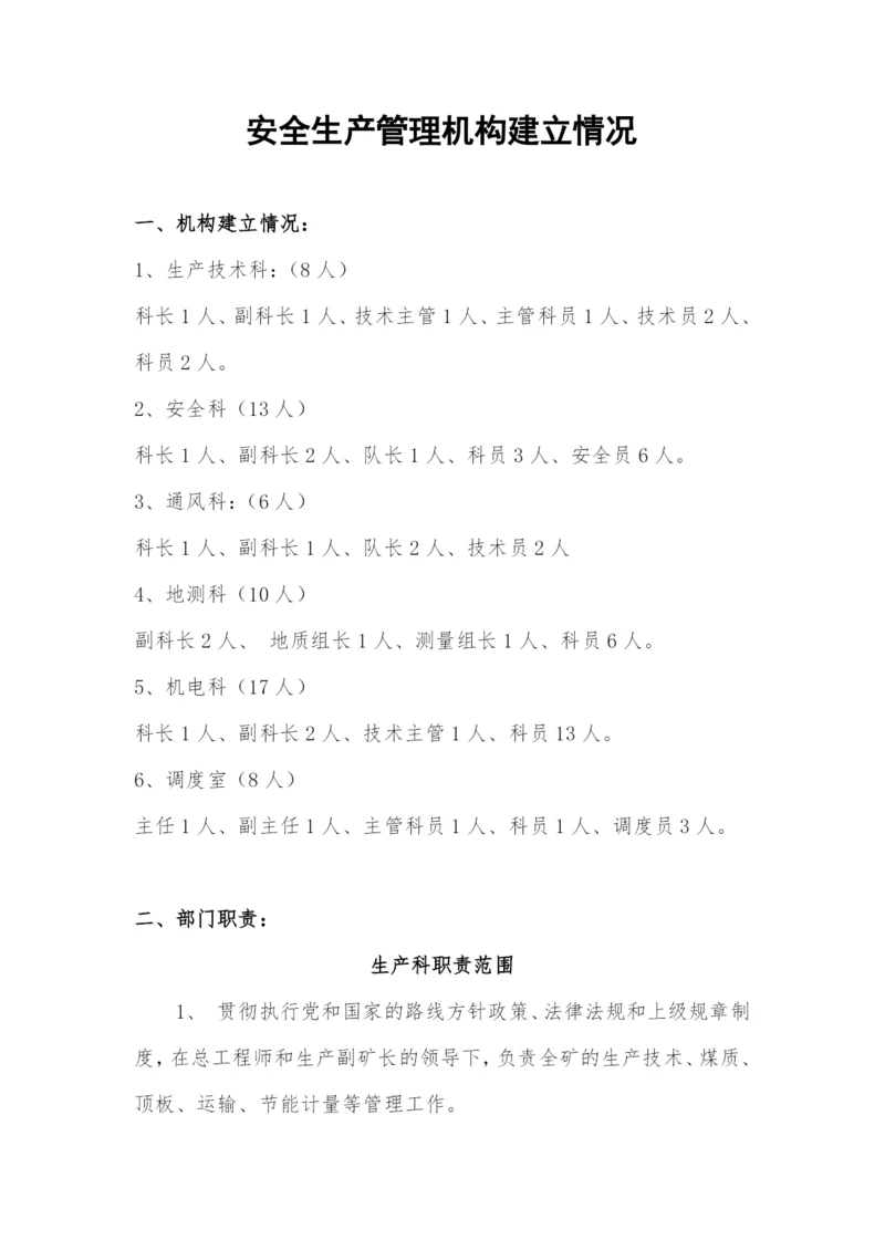 安全生产管理机构建立情况.docx