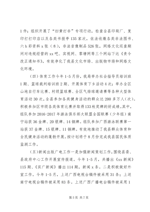 文化新闻出版广电和体育局XX年上半年工作总结及下半年工作计划.docx